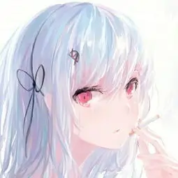 会员用户夜风的头像